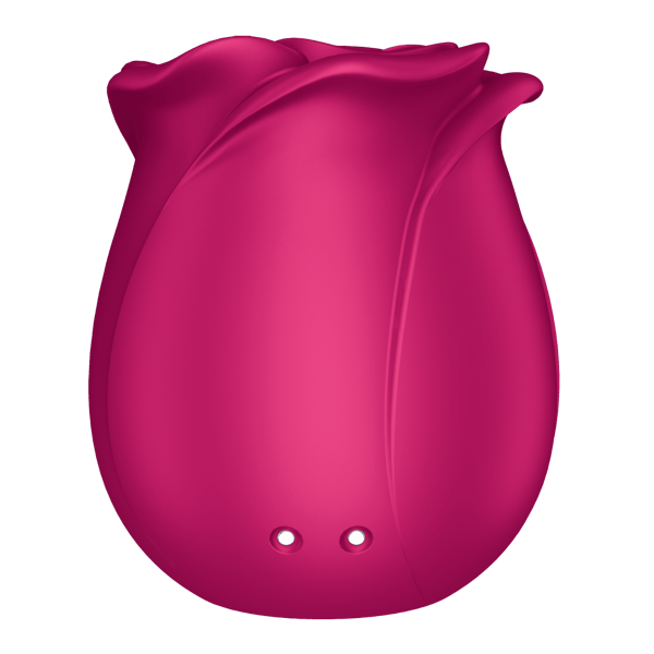 Satisfyer Klitoriksen stimulaattori PRO 2 CLASSIC BLOSSOM