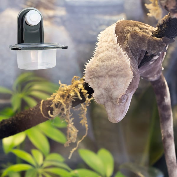 BioGecko Bowl Single - yksittäinen roikkuva kulho gekoille