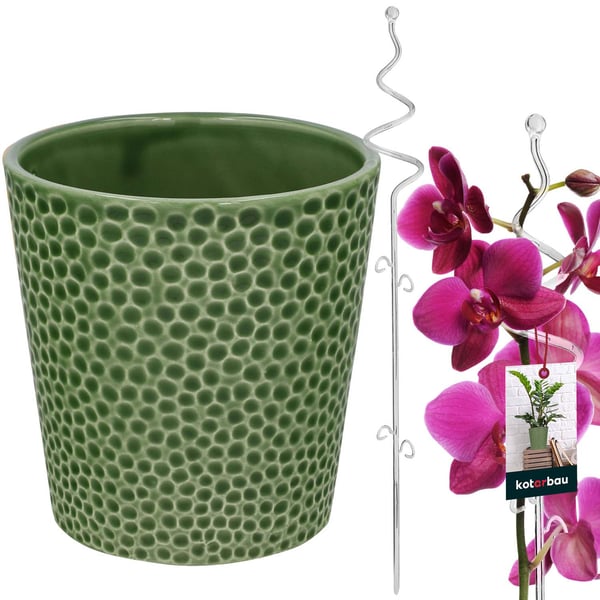 KOTARBAU® Vihreä kukkaruukkusetti 11 cm läpinäkyvällä tuella 58 cm kukille Keraaminen kukkaruukku Muovinen kasvitukisetti orkideoille KOTARBAU® Vihreä kukkaruukkusetti 11 cm läpinäkyvällä tuella 58 cm kukille Keraaminen kukkaruukku Muovinen kasvitukisetti orkideoille