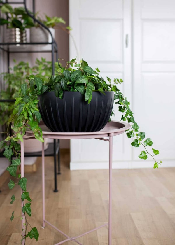 Avskalad ECO genbrugsblomstkrukke sort