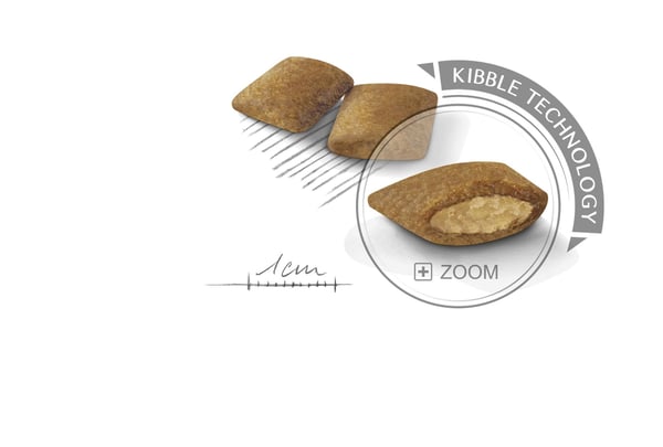 ROYAL CANIN Mini Exigent 3 kg