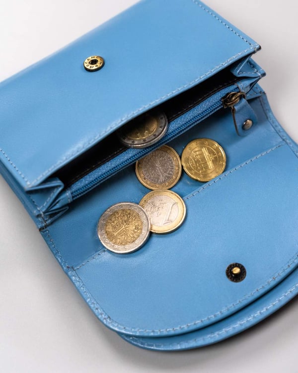 Klassisk läderplånbok för kvinnor med tryckknapp - Peterson