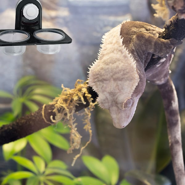 BioGecko Bowl Double - en dubbel hängande skål för geckos