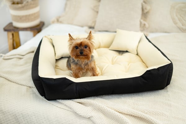 Hundeseng kennel ECCO 75x65 cm vandtæt beige