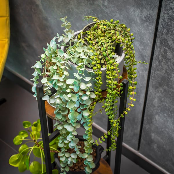 Stående blomsterstativ, metal, sort, træ, blomsterstativ, blomster, planter