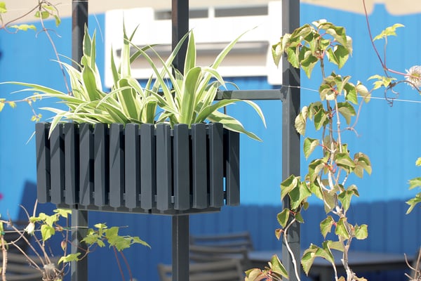 Boardee Fencycase 600W vinduesbox brun