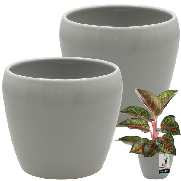 KOTARBAU® 2 stk. urtepotte 12 cm grå glaseret keramik urtepotte blomster- og urtepotte dekorativ låg balkon urtepotte