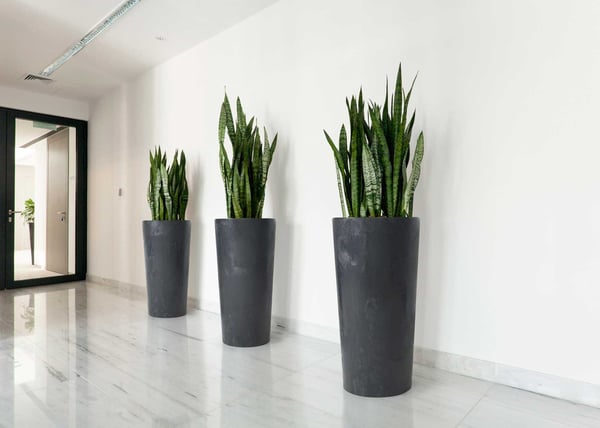 Urbanika sort beton blomkruke h46x25 cm