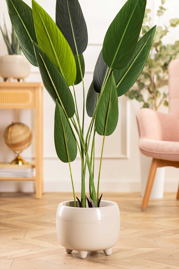 Beige botanica blomkruka på ben 30x24 cm