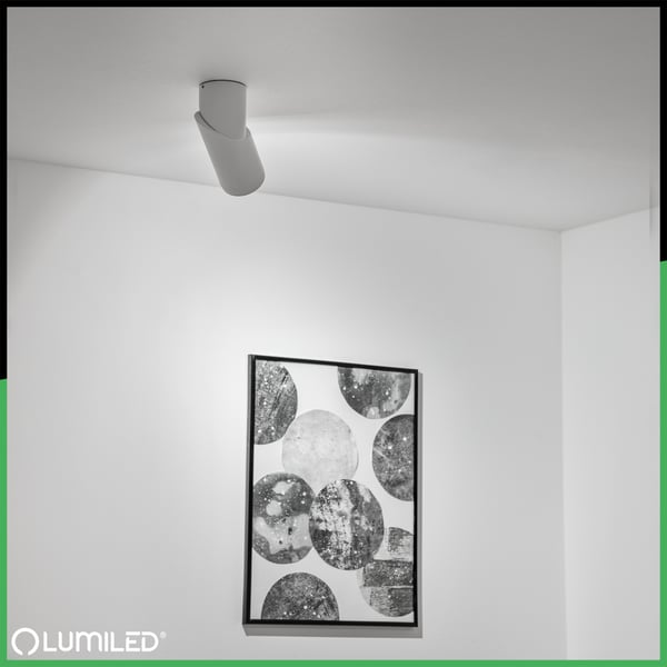 Taklampa SPOT TUBA reflektor armattur halogen 1x GU10 TABULA LUMILED