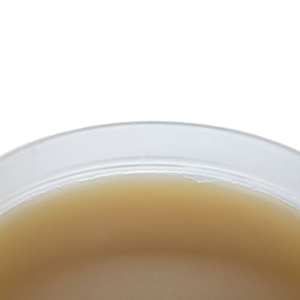 ZJ-18 juotosvoide ruskea 115ml