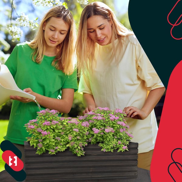 Kotarbau trälåda för terrass med insats antracitgrå 44 x 20 cm