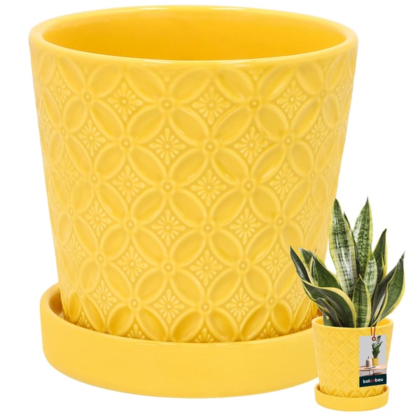 KOTARBAU® Rund senapsfärgad kruka 13 cm blomkruka med fat glaserad keramik växt- och örtkruka