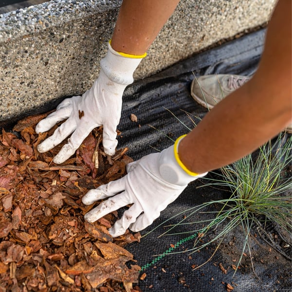 Sort agrotekstil til ukrudt, mulching, 3,2x100m, 70g pløkker