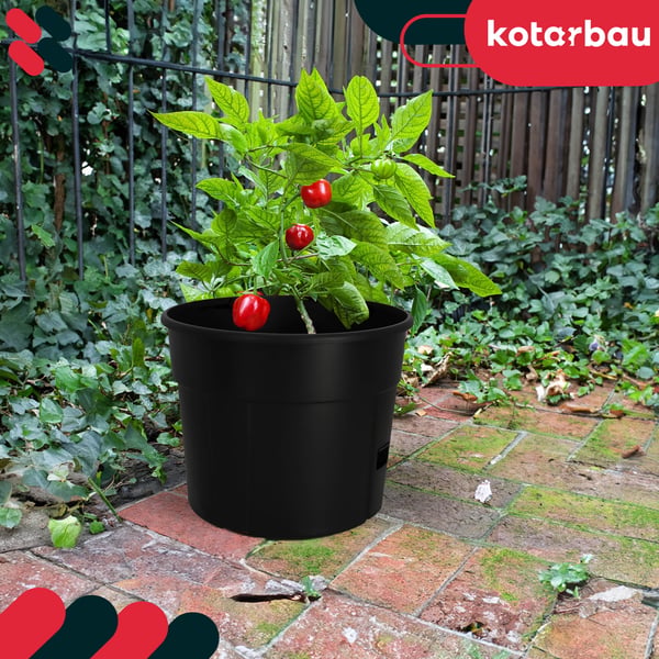 Kruka för tomatodling med stege för balkongen svart 30 cm set om 4