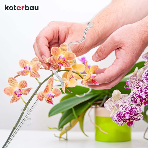 Senapsfärgad krukset 11 cm med transparent spiralstöd 58 cm för orkidéer och blommor