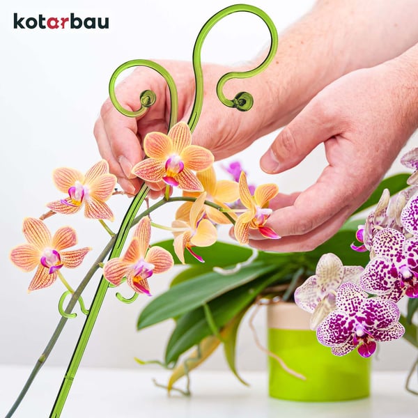 KOTARBAU® set med 11 cm keramisk blomkruka och 58 cm grönt växtställ, orkidéset