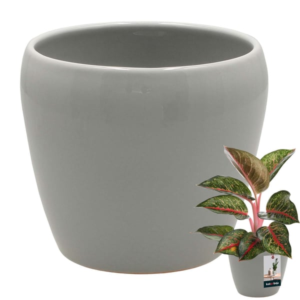 KOTARBAU® Urtepotte 12 cm Grå Glaseret Keramik Urtepotte Blomster- og Urtepotte Dekorativ Låg Balkon Urtepotte