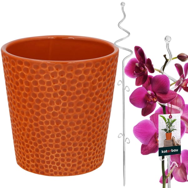Tumman sinapinvärinen ruukkusetti 11 cm läpinäkyvällä tuella 58 cm spiraalikukkaruukku kasvituki orkideasetti