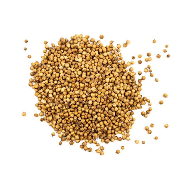 Korianderfrø 100g PREMIUM