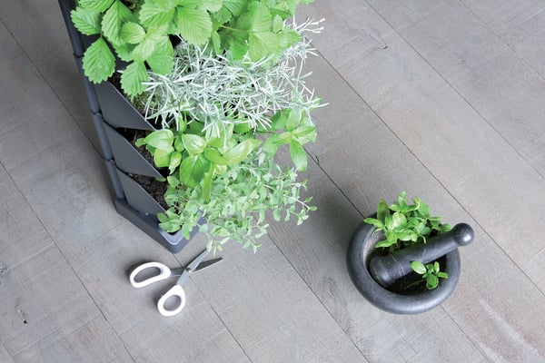 MINI CASCADE IO1W200 hængende vertikal have | Antracit