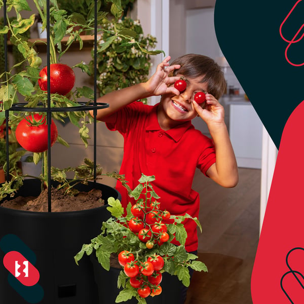 Kruka för tomatodling med stege för balkongen, svart, 39 cm, set om 4