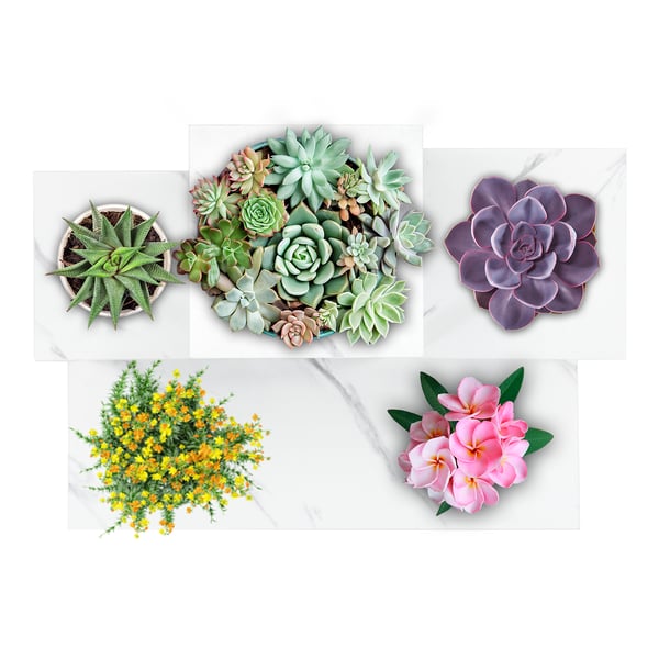Stående blomsterstativ, blomsterstativ, planter, moderne hylde, 4 hylder