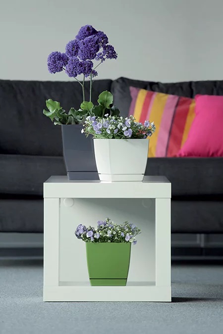 COUBI BLOMKRUKA - VIT - PP-DUKP135B
