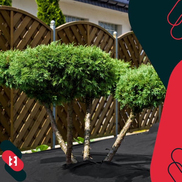 KOTARBAU® ogrässkyddande trädgårdstextil svart 70 g/m² 3,2 x 5 m