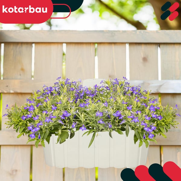 Vägghängande blomkruka för balkong rustik vit 28 cm 2 st
