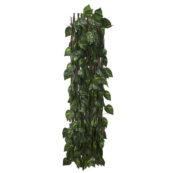 Dekorativt balkonespalier med blade