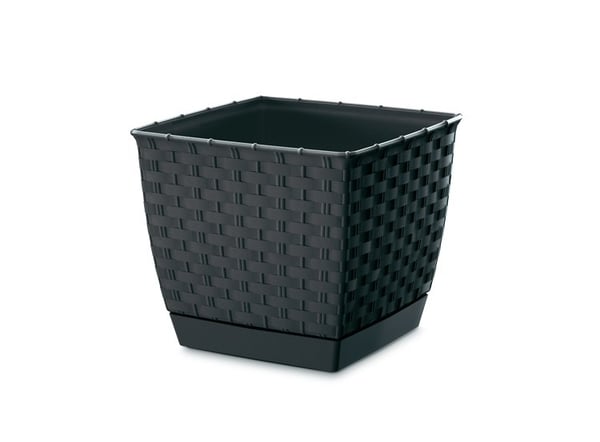 RATOLLA SQUARE BLOWERKRUTA - ANTRACIT - PP-DRLK165A