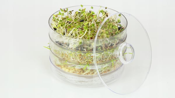 Bio-natura groddare, groddbehållare
