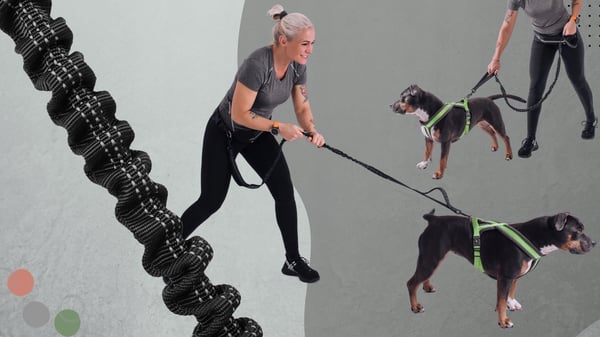 Elastiskt hundkoppel med stötdämpare för löpning