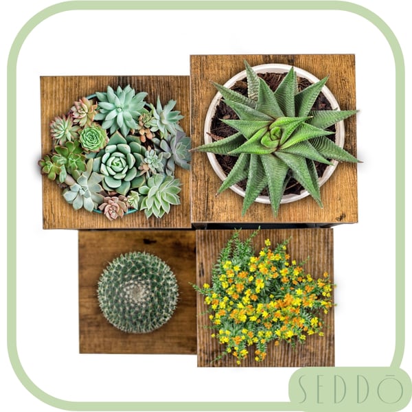 Blomsterstativ, hylde til blomster, planter, potter, fritstående, 4 hylder, loft