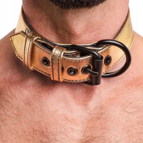 Lovetoy Bondage Fetish guldvägrad valphalsband med koppel