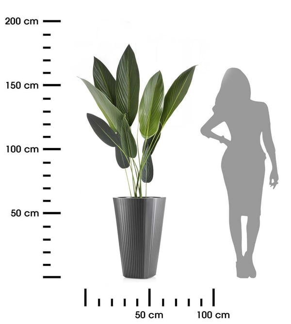 Mora hög blomkruka antracit 39x61 cm