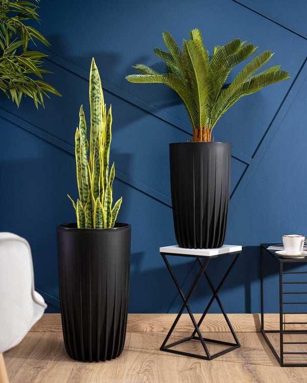 Avskalad tall ECO återvinning blomkruka