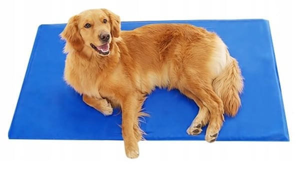 Gelkølemåtte til dyr 50x90 cm blå