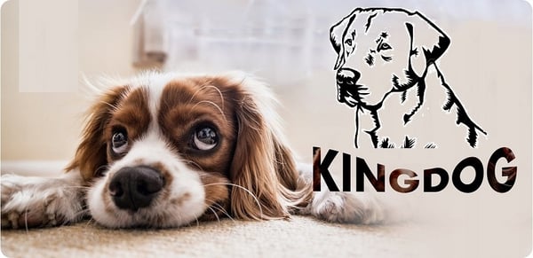 Hundeseng kennel KINGDOG 75x65 cm personaliseret vandtæt brun
