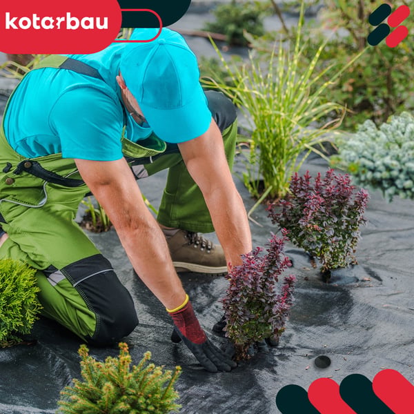 KOTARBAU® ogrässkyddande trädgårdstextil universal svart 70 g/m² 1,1 x 100 m med pinnar