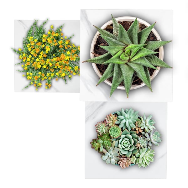 Metalblomsterstativ til potteplanter, loftstil i flere niveauer, 3 hylder