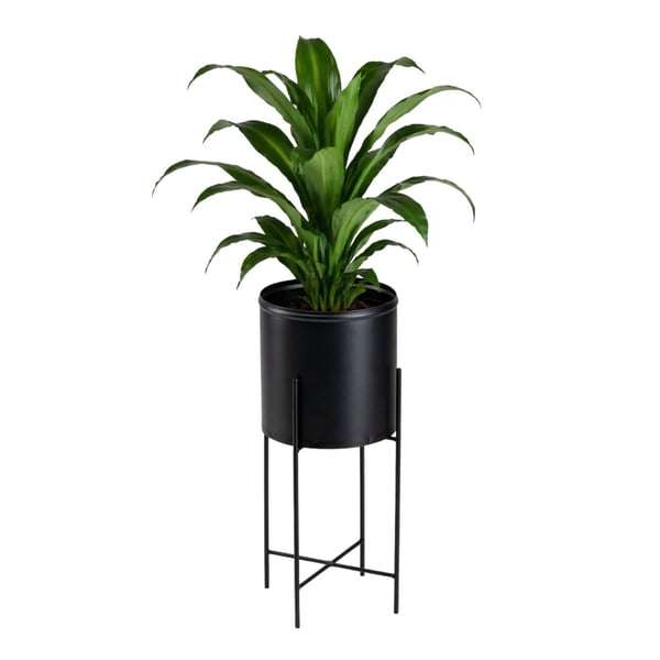 Kukkateline kannella 55 cm musta