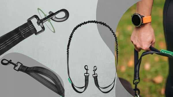 Elastiskt hundkoppel med stötdämpare för löpning