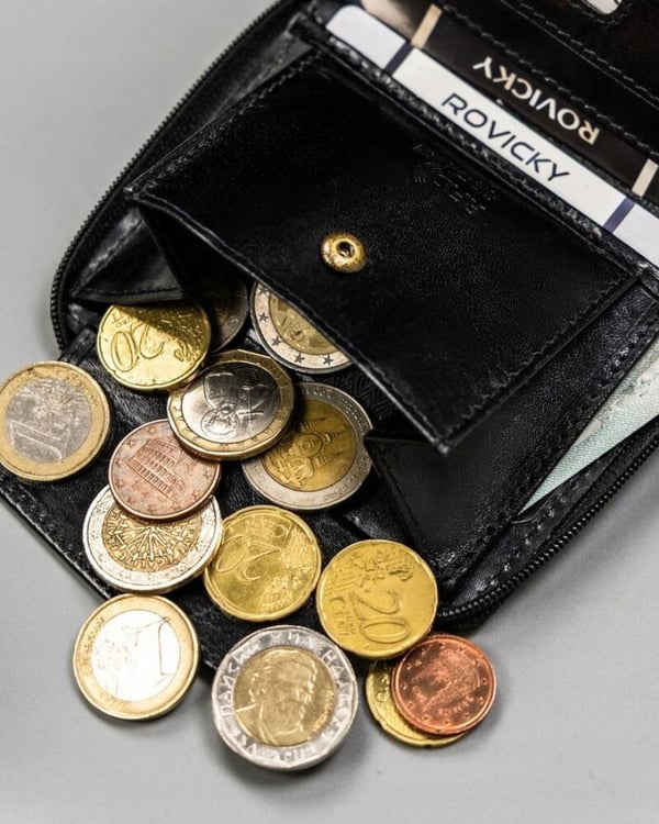 Liten herrplånbok i läder med dragkedja - Rovicky