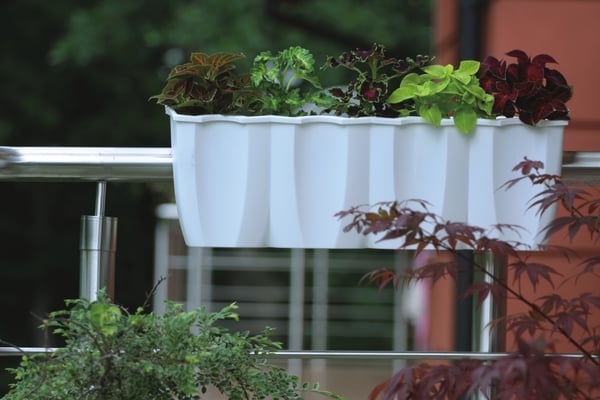 Crown DCRO600 räcke blomkruka vit
