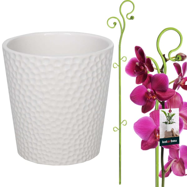KOTARBAU® Sæt med hvide urtepotter 15 cm med grøn støtte 58 cm til blomster Keramik urtepotte Plastikstøtte til planter Orkidésæt
