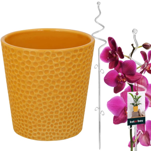 Senapsfärgad krukset 11 cm med transparent spiralstöd 58 cm för orkidéer och blommor