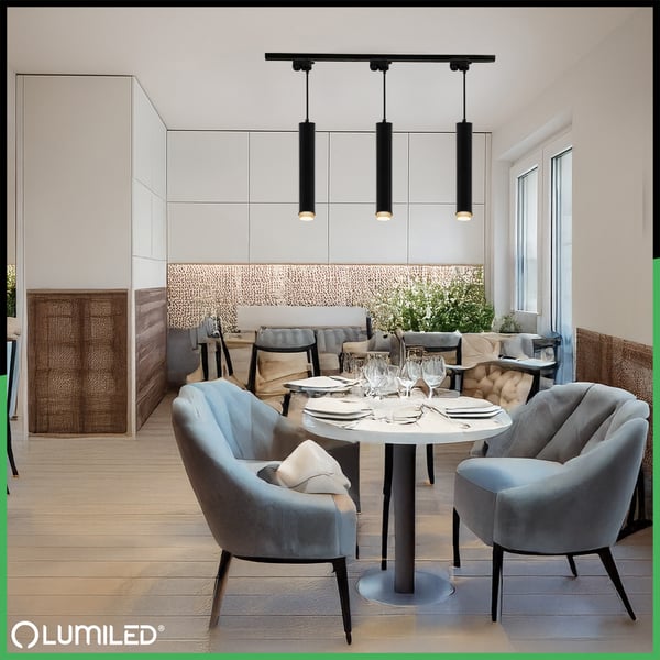 Hänglampa taklampa hängande 29cm reflektor GU10 LED ELIGIS svart LUMILED