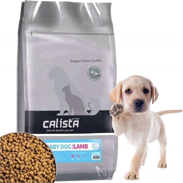 Calista lammetil hvalp, 12 kg